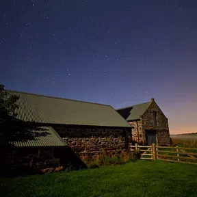 Nightfarm