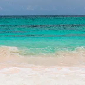 Sea 10Hwrs