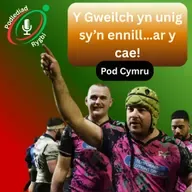 Y Gweilch yn unig sy’n ennill…ar y cae!
