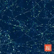 ‘Underground Atlas’ Shows How Vulnerable Fungal Networks Are