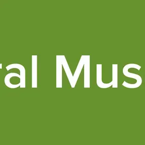 Geral Music 2