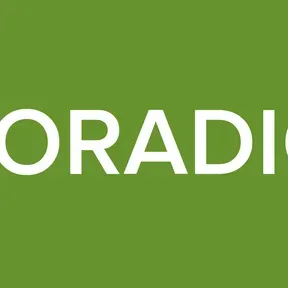 ZORADIO