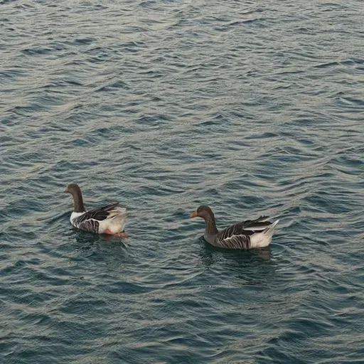 ١٧٩| مستقلّة عاطفياً❤️‍🩹