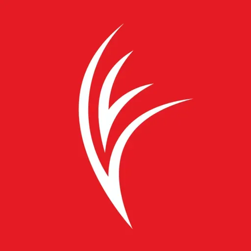 Debate João Diogo Manteigas Vs Martim Mayer | Eleições Benfica 2025