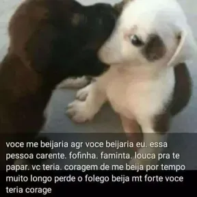 Zinho200.