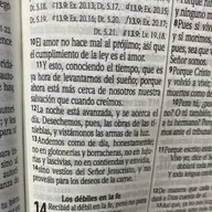 Romanos capítulo 14