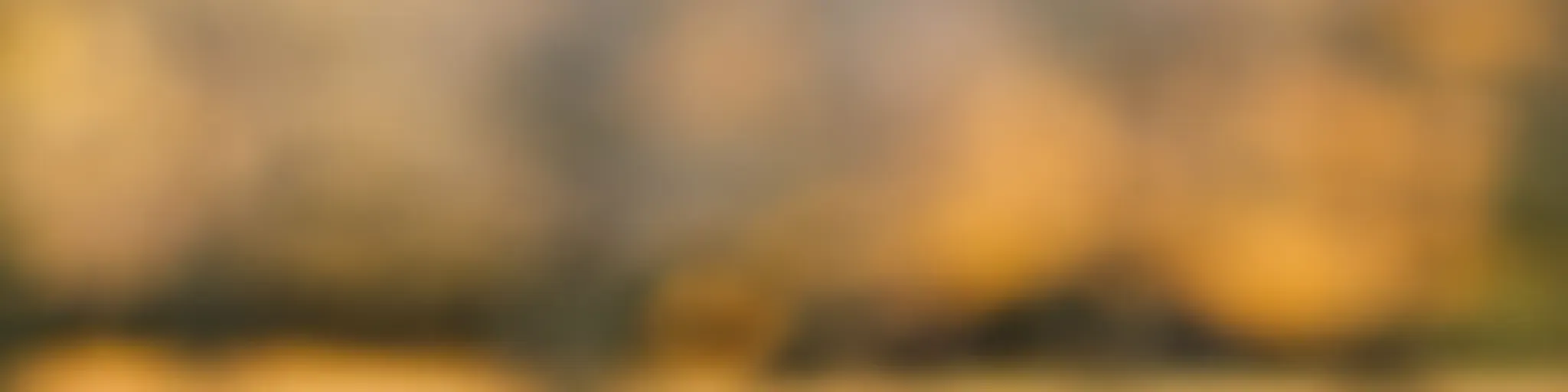 שיעורי עיון למחשבה  - אידיש