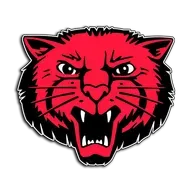 Week 11: The Science of Steady