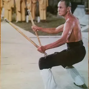 Shaolin Swordz