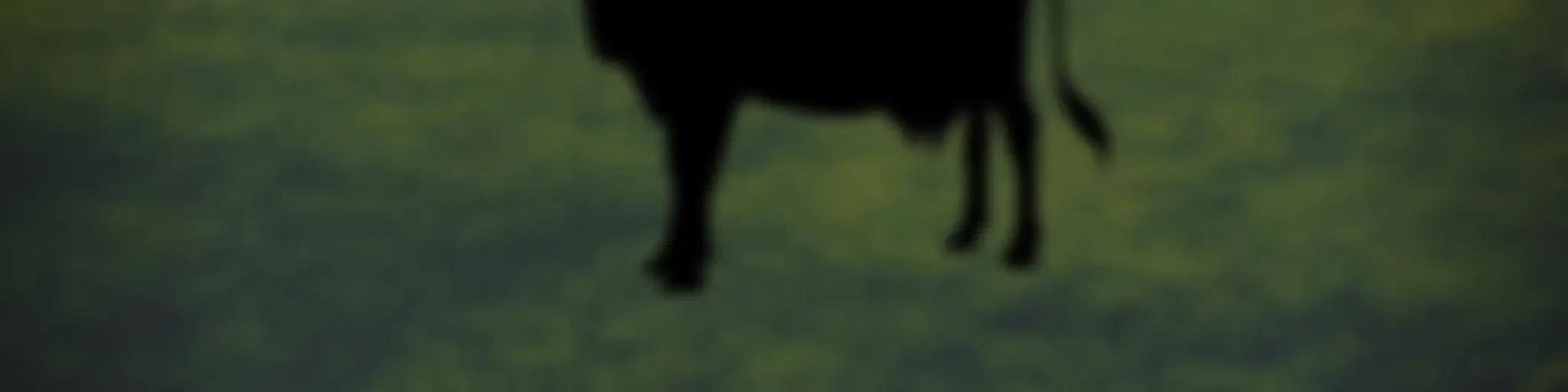 Dibre da Vaca