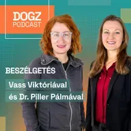 Javíthatja a kapcsolatod a kutyáddal, ha évente egyszer ezt megteszed