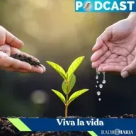 El Discernimiento, la desolacion 5parte – Domingo 04 ene 2026