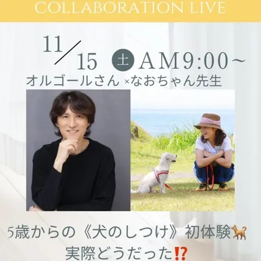 ウチの犬が⁉️逃げた‼️咬んだ‼️口傷事故になった時💦ご近所トラブル③#4