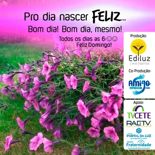Pro dia nascer Feliz... Bom dia! Bom dia, mesmo! #331