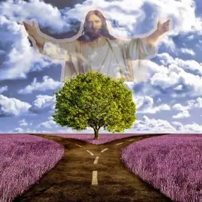 Camino de amor