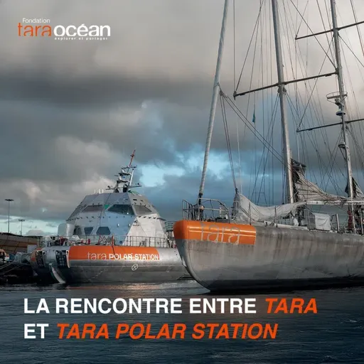 André Abreu: Fundação Tara Ocean