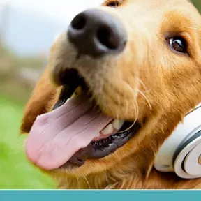 Radio PetsFM
