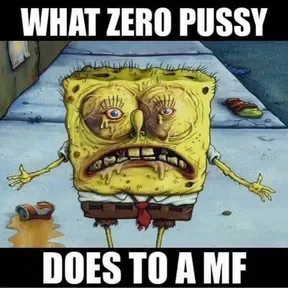 zcszsd