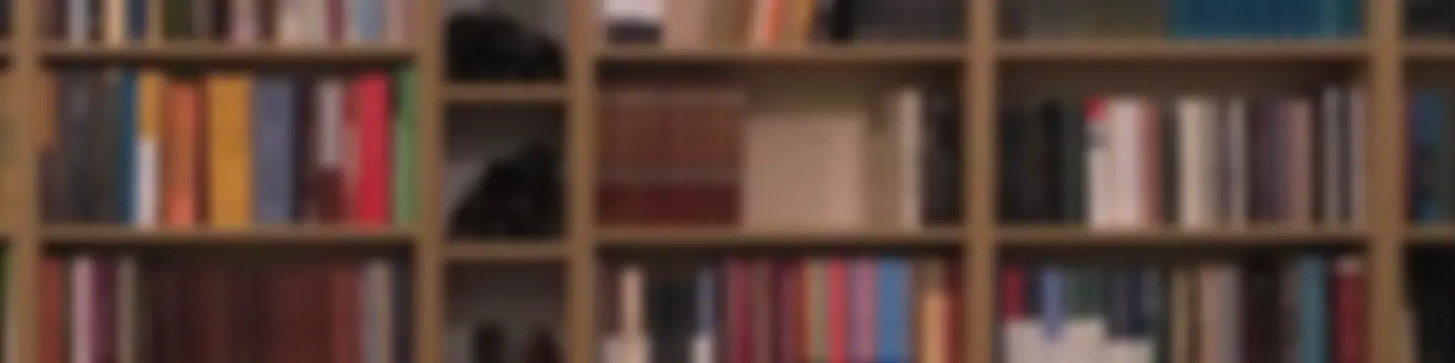 Semra Metin