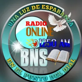 BNS RADIO