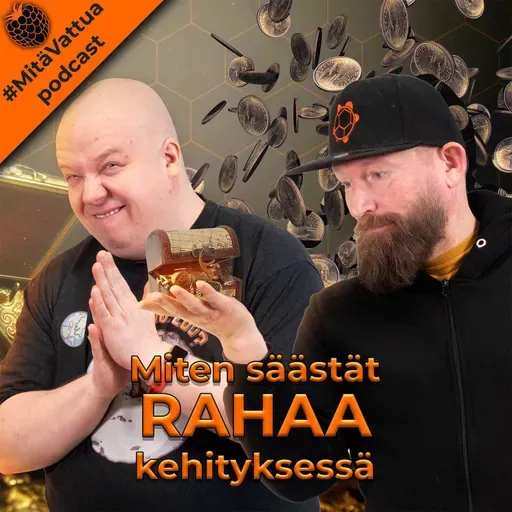 Miten säästät rahaa kehityksessä