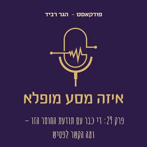 פרק 29: די כבר עם תודעת החוסר הזו – ומה הקשר לפטיש