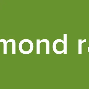desmond radio