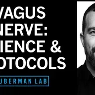 Control Your Vagus Nerve to Improve Mood, Alertness & Neuroplasticity