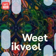 Psychedelische therapie