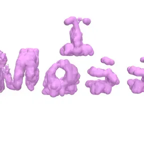 _moss_