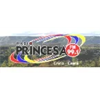 Rádio Princesa FM 99.1