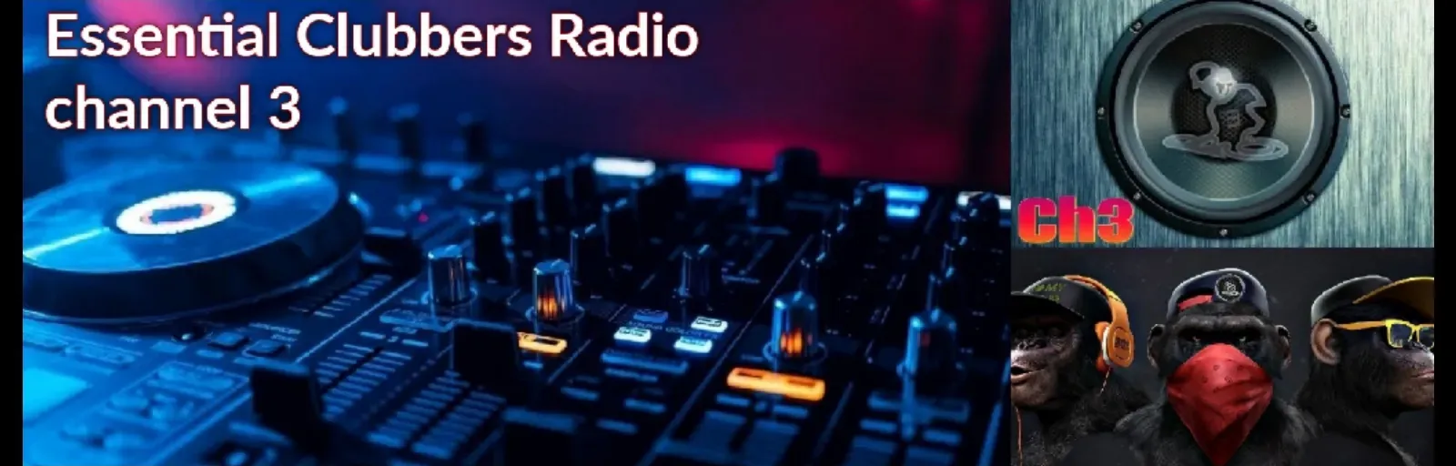 Essential Clubbers 3