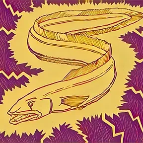ElectricEel
