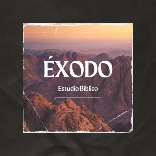 Estudio del libro de Éxodo Cap 26