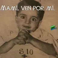 MCSF 01-06-23 episodio 113