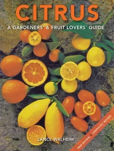 A Deep Dive Into Citrus Containers