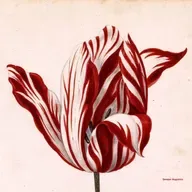 Die AI Blase platzt - zu hohe Kosten, niedrige Erträge