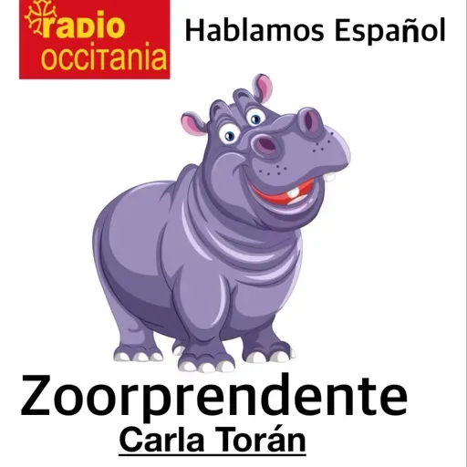 Hablamos Español con Carla Torán