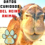 # Geeks and beers - Datos curiosos del reino animal