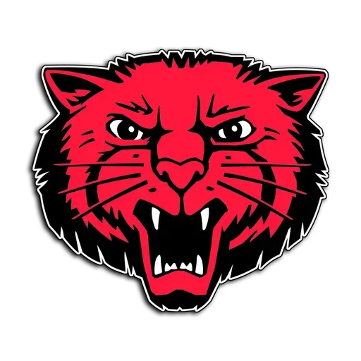 Week 13: Learning from Success and Aiming Higher