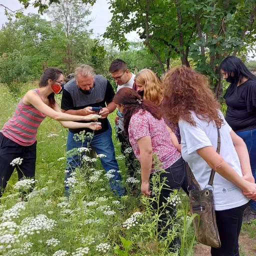 Ciencia ciudadana: La sinergia entre ciencia y sociedad
