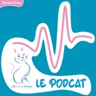 Les #chatventures romanesques de #lanouvelleolympe : de Brest à Paris