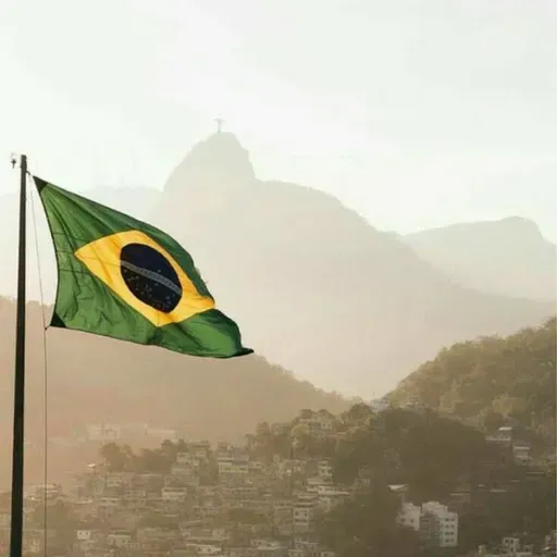 Como salvar o Brasil de seu colapso - Newman LM