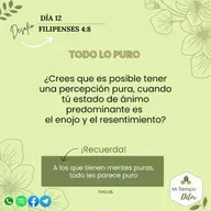 Día 12 desafío filipenses 4: 8
