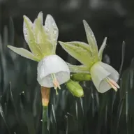 池莉：一生只做一件事