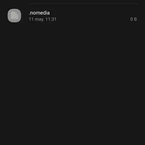 Anonimo