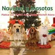 Mundo Curioso según Fran   episodio 95 EVENTO ESPECIAL