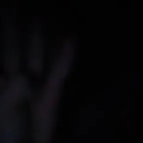 Joaquim 2.0 só ela