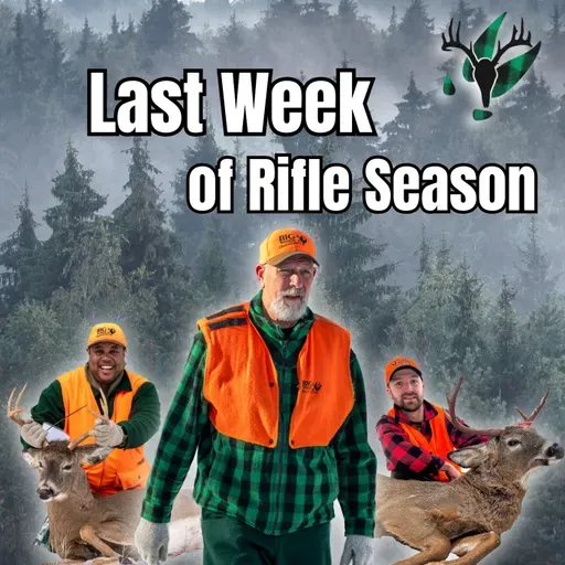 Deer Season Week 4 Update | Big Woods Bucks Podcast Ep 184
