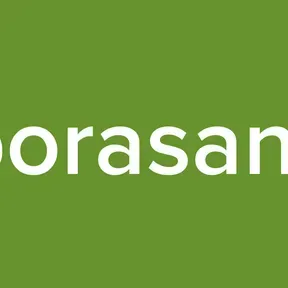 deborasanyos